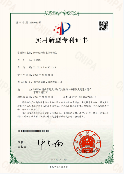 内水處理(lǐ)氧化理(lǐ)化設備